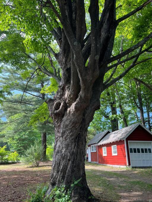 Schoolhouse No. 11 * Hudson Valley Upstate Getaway Stone Ridge Exterior foto
